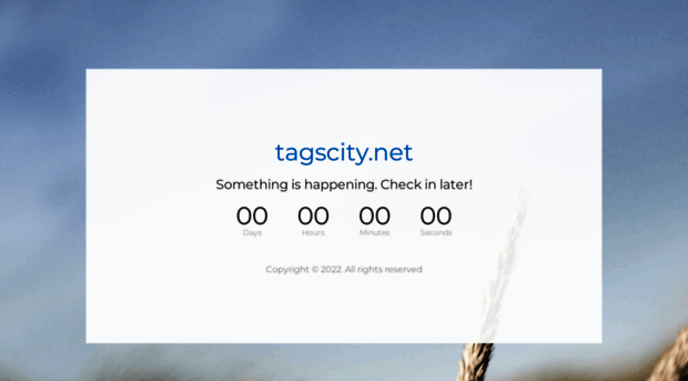 tagscity.net