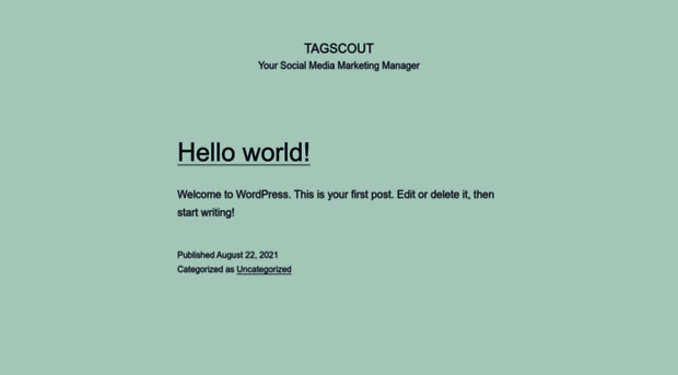 tagscout.com