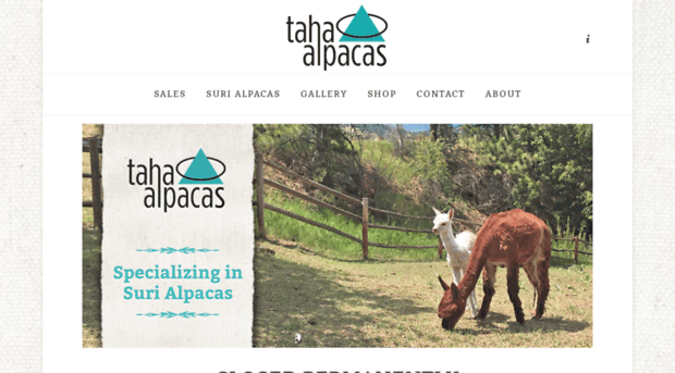 tahaalpacas.com