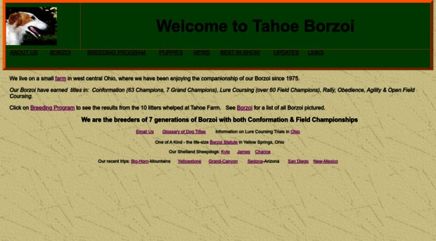 tahoeborzoi.com