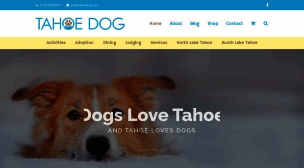 tahoedog.com