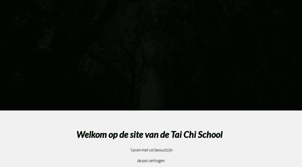 tai-chi-school.com