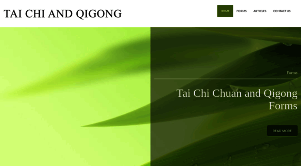 taichiandqigong.com