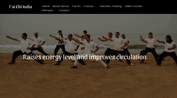 taichiindia.com