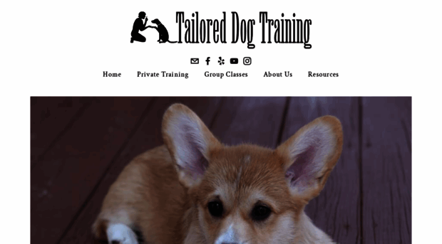 tailoreddogtraining.com