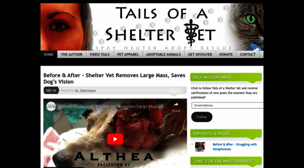 tailsofasheltervet.com