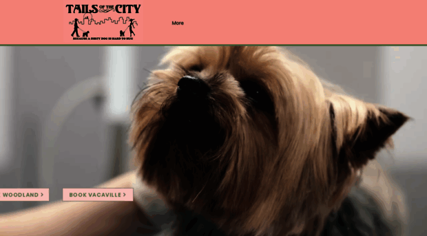 tailsofthecitydogsalon.com