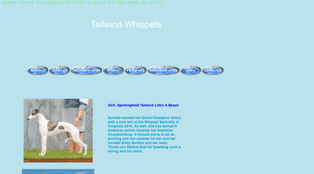 tailwindwhippets.com