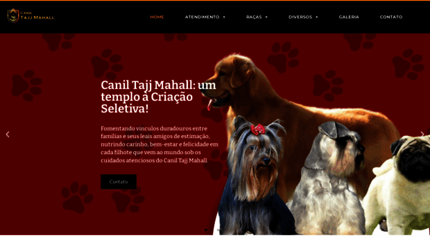 tajjmahall.com.br