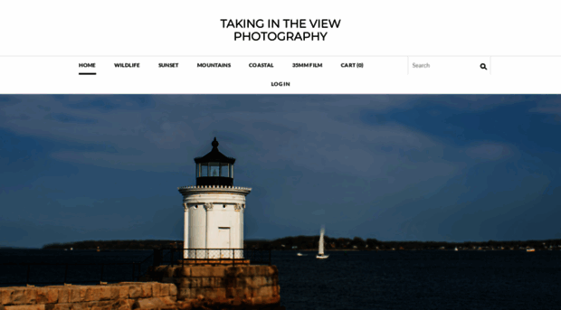takingintheview.com