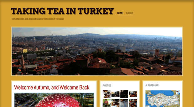 takingteainturkey.com