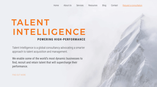 talentintelligence.com