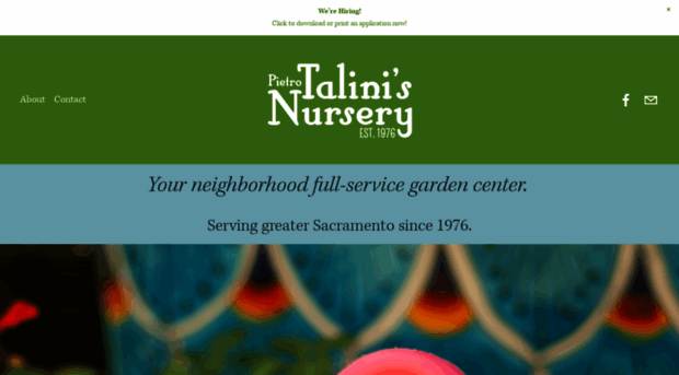 talinisnursery.com