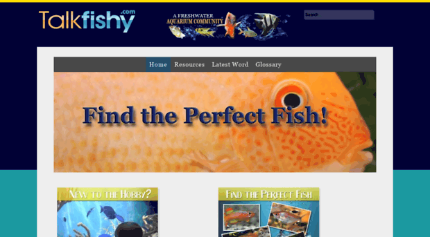 talkfishy.com