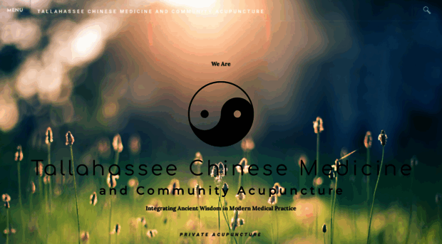 tallahasseechinesemedicine.com