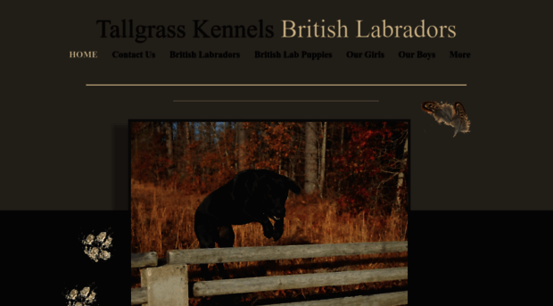 tallgrasskennels.com