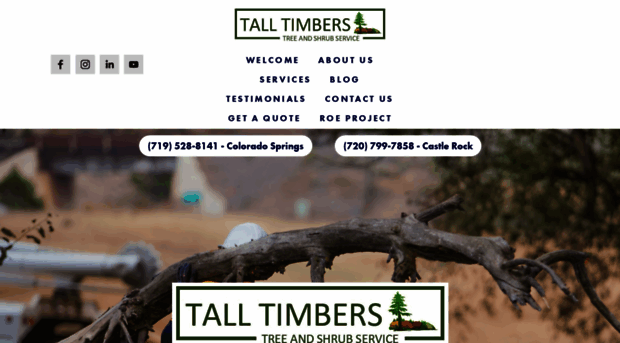 talltimberstreeservice.com