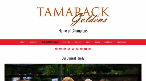 tamarackgoldens.wordpress.com