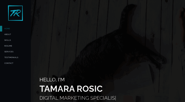 tamararosic.com