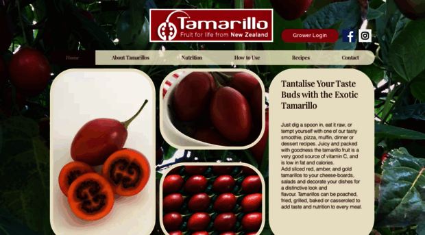 tamarillo.com