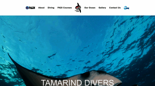 tamarinddivers.com