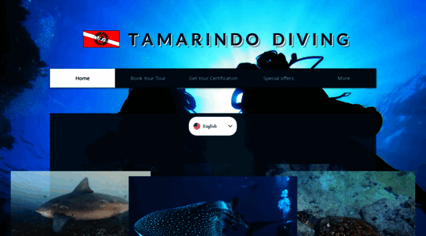tamarindodiving.net