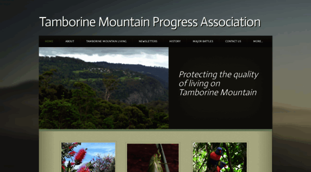 tamborinemountainprogressassociation.com