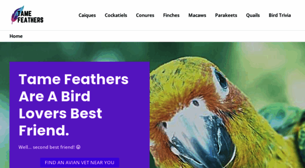 tamefeathers.com