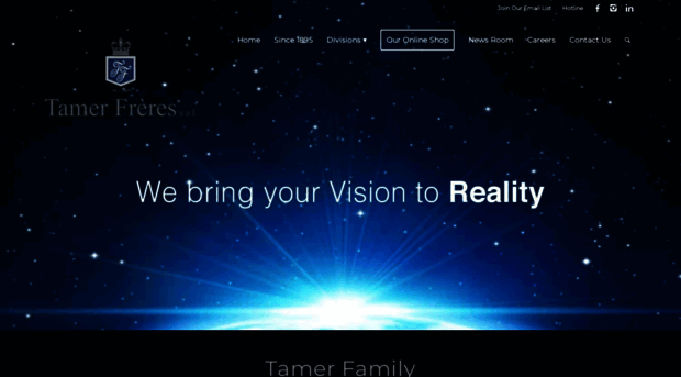 tamer-group.com