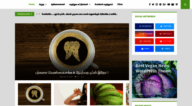 tamilayurvedic.com