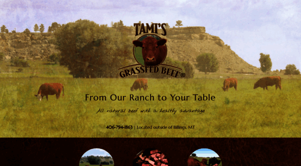 tamisgrassfedbeef.com