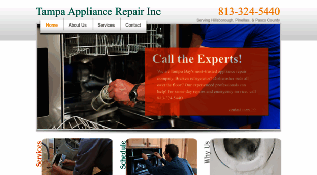 tampaappliancerepairman.com