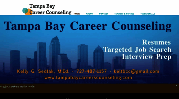 tampabaycareercounseling.com