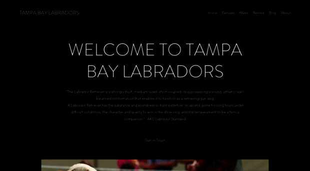 tampabaylabradors.com