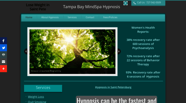 tampabaymindspa.com