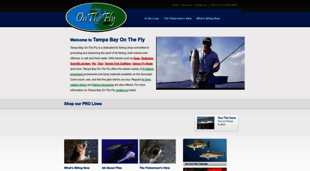 tampabayonthefly.com