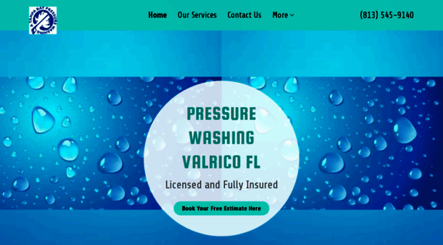 tampabaypressurewashing.com