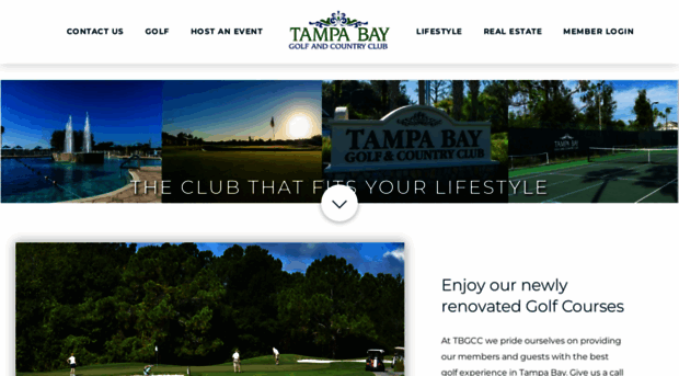 tampabgcc.com