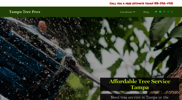 tampafltreeservice.com