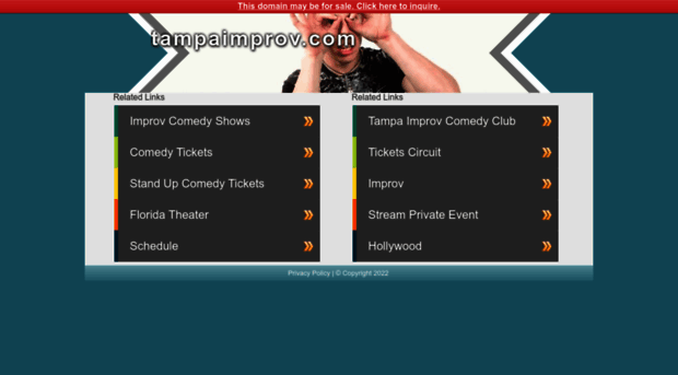 tampaimprov.com