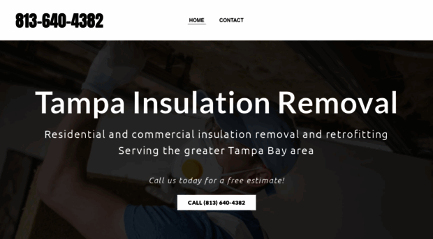 tampainsulationremoval.com