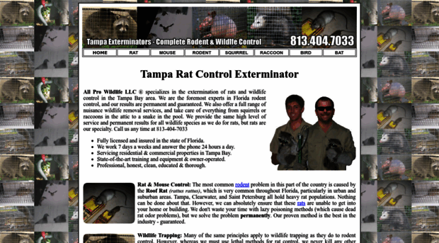 tamparatexterminator.com