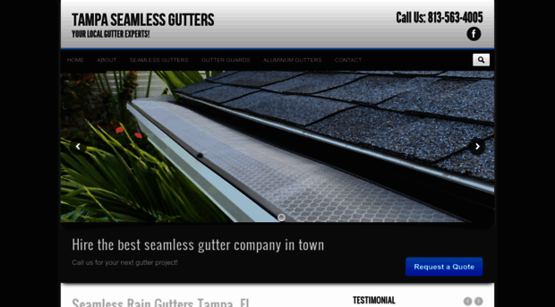 tampaseamlessgutter.com