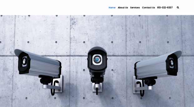 tampasecuritycameras.com