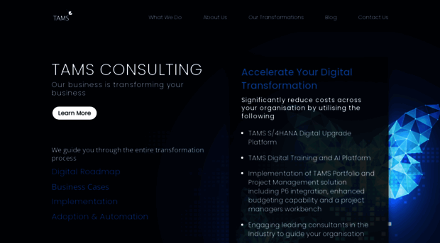 tamsconsulting.com.au