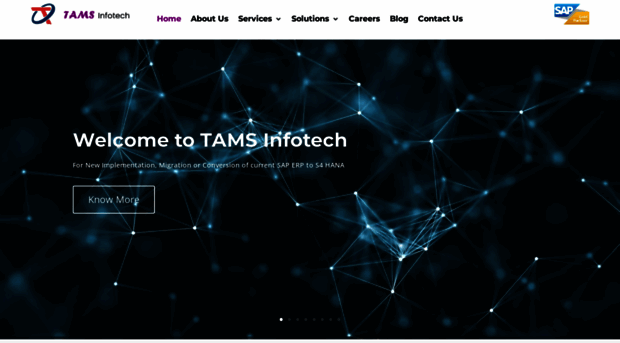 tamsinfotech.com