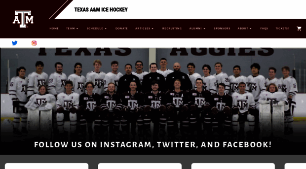 tamuicehockey.com