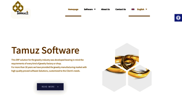 tamuz-software.com