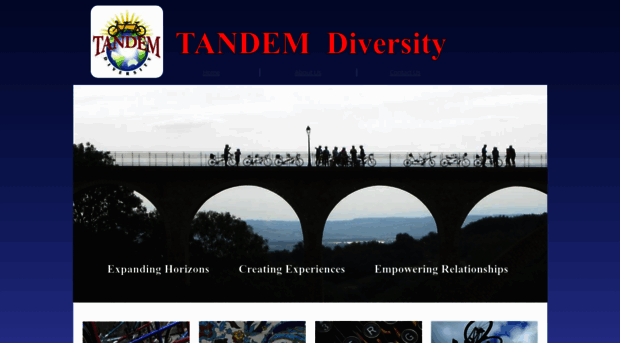 tandemdiversity.com