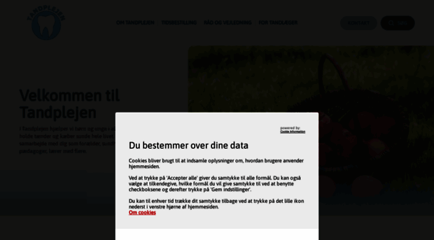 tandplejen.slagelse.dk